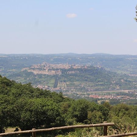 Agriturismo Fattoria Poggio Boalaio أورفييتو المظهر الخارجي الصورة