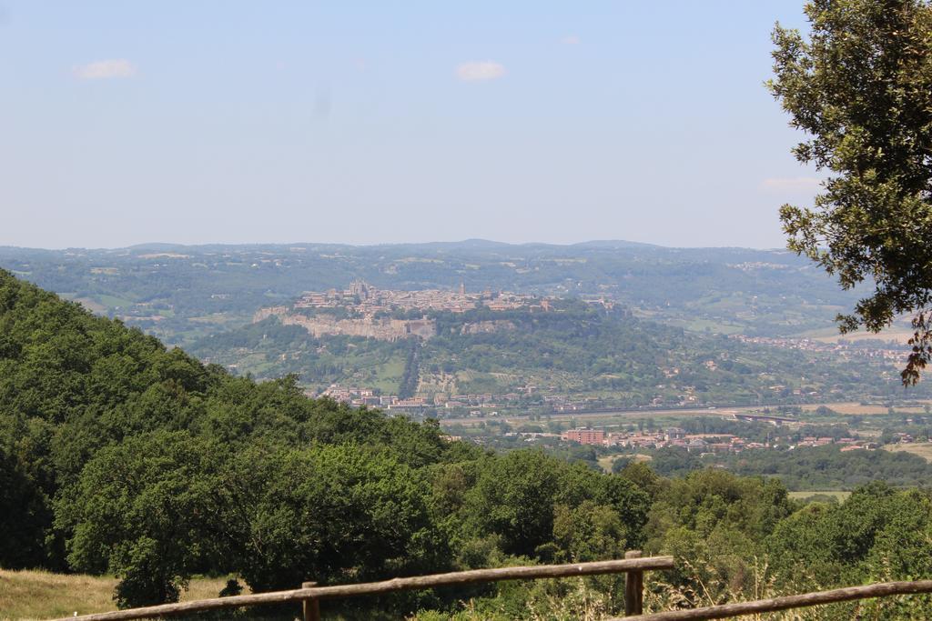 Agriturismo Fattoria Poggio Boalaio أورفييتو المظهر الخارجي الصورة