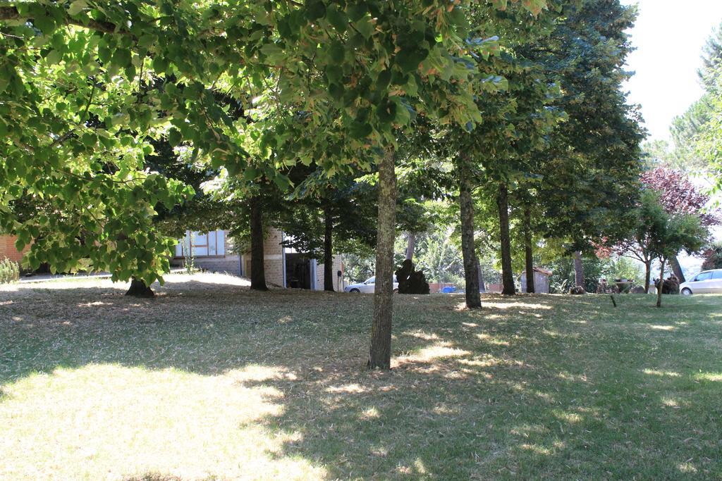 Agriturismo Fattoria Poggio Boalaio أورفييتو المظهر الخارجي الصورة