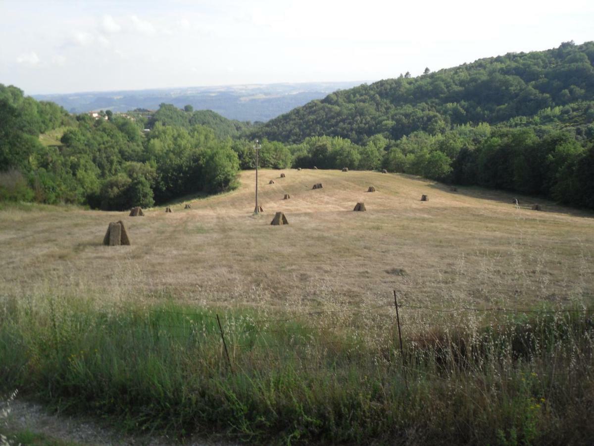 Agriturismo Fattoria Poggio Boalaio أورفييتو المظهر الخارجي الصورة