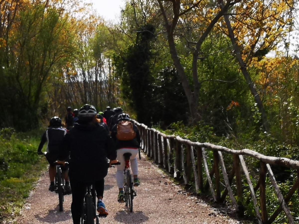 Agriturismo Fattoria Poggio Boalaio أورفييتو المظهر الخارجي الصورة