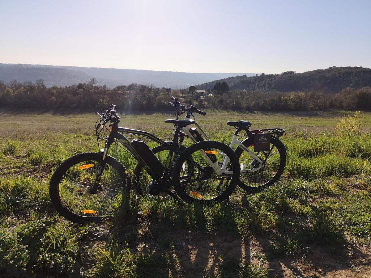 Agriturismo Fattoria Poggio Boalaio أورفييتو المظهر الخارجي الصورة